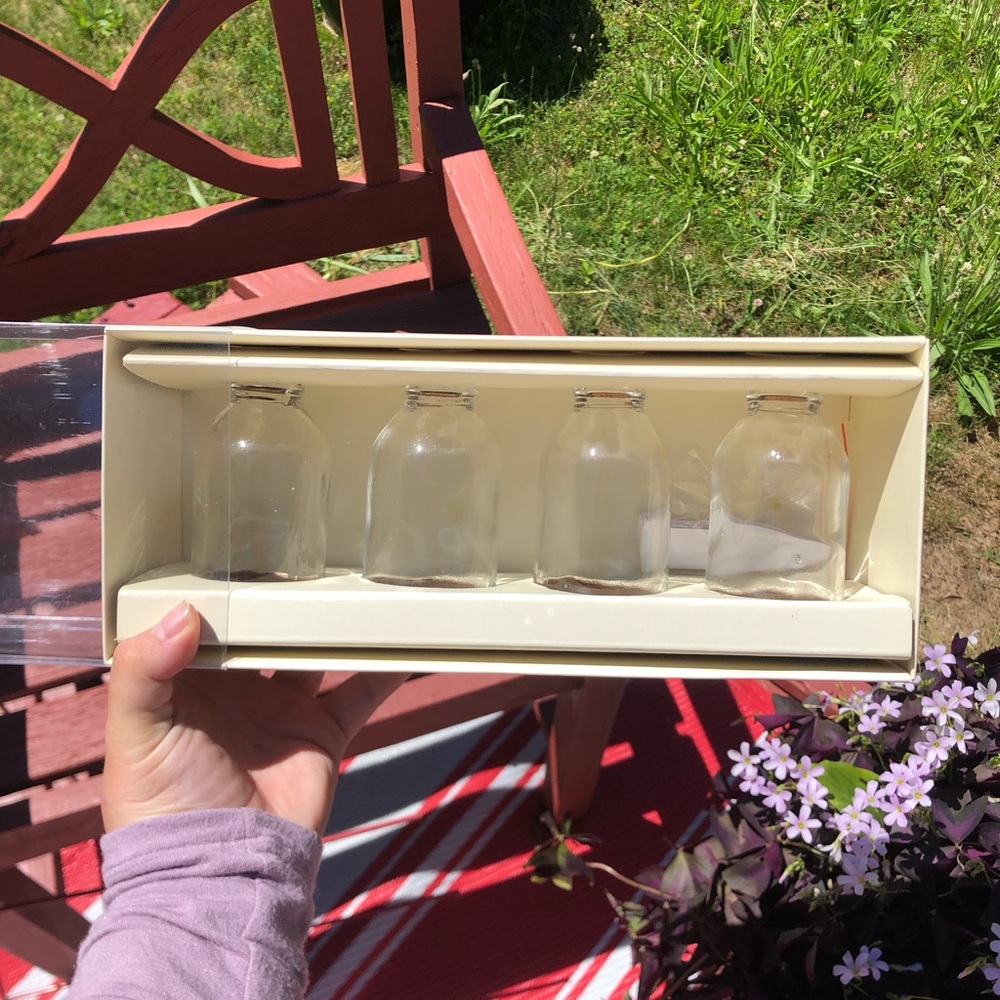 NIB Pottery Barn Cream Message in a Bottle Placecard Holders